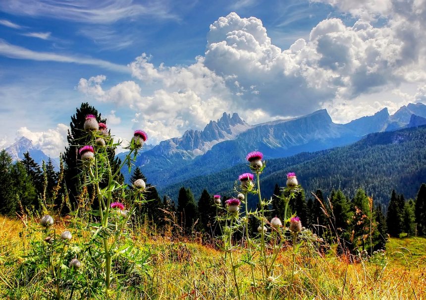 Croda Da Lago, Tofane, Dolomites, NatureCroda Da Lago Tofane Dolomites Nature