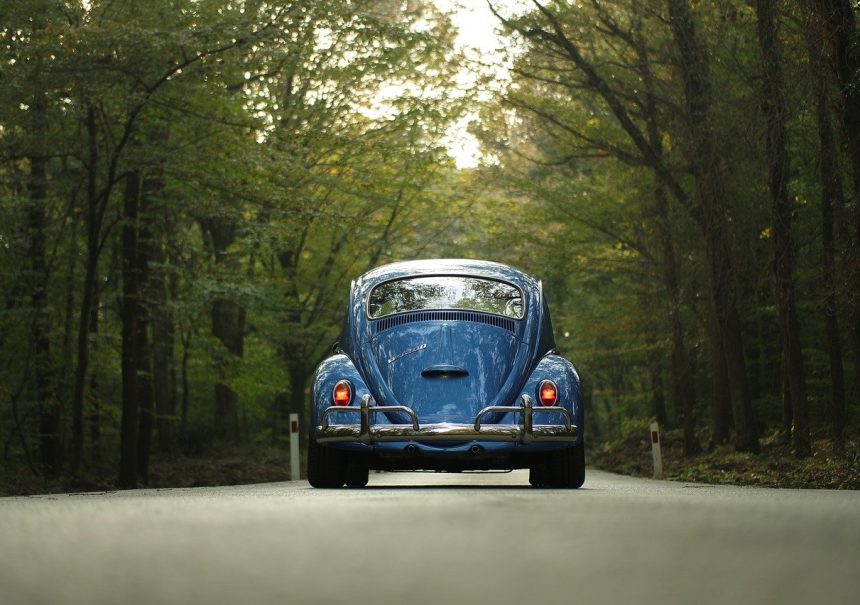 Vw Beetle Car Classic Car Forest Outdoors Road